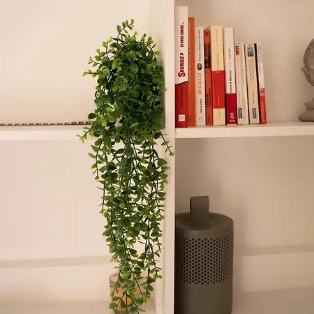 L'algeco - Tiny House -
